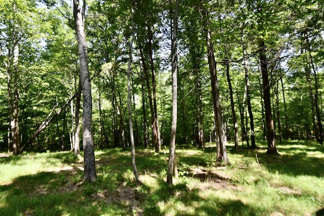 0 Allens Creek Rd, Hohenwald, TN 38462