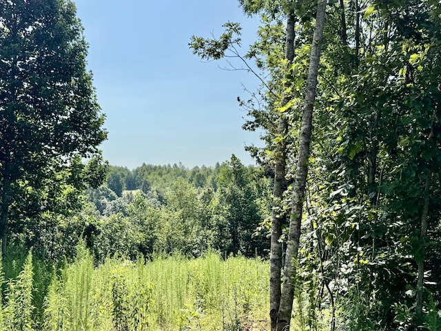 0 Allens Creek Rd, Hohenwald, TN 38462