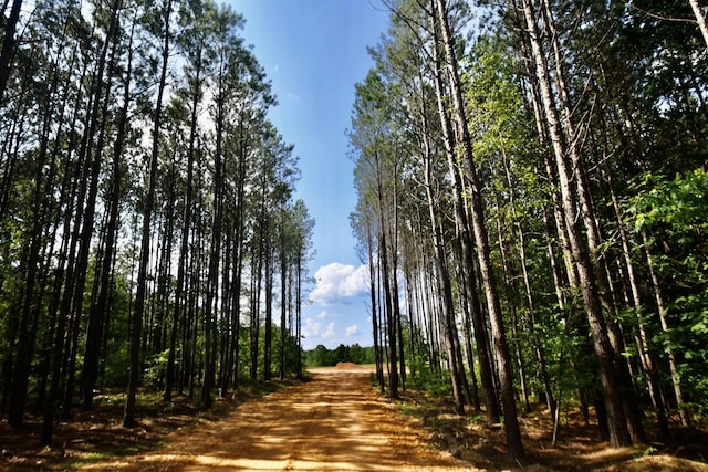 0 Allens Creek Rd, Hohenwald, TN 38462
