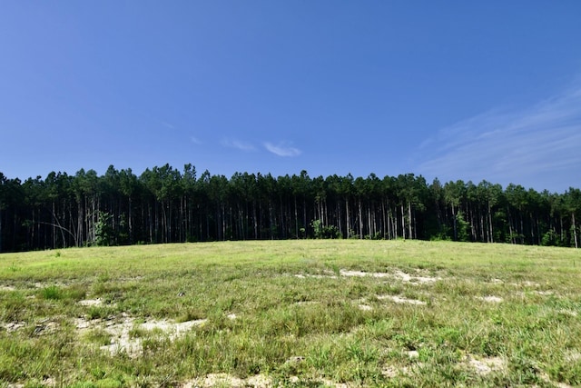 0 Allens Creek Rd, Hohenwald, TN 38462
