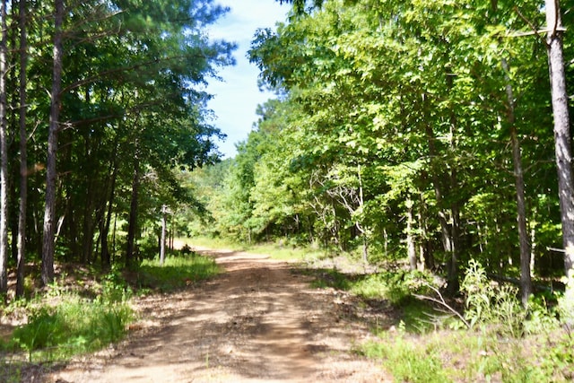 0 Allens Creek Rd, Hohenwald, TN 38462