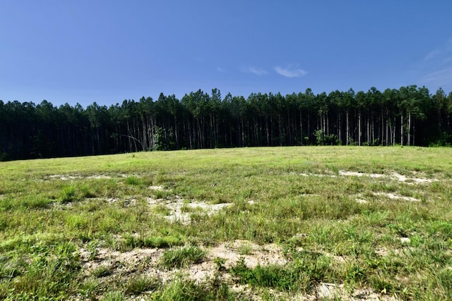 0 Allens Creek Rd, Hohenwald, TN 38462