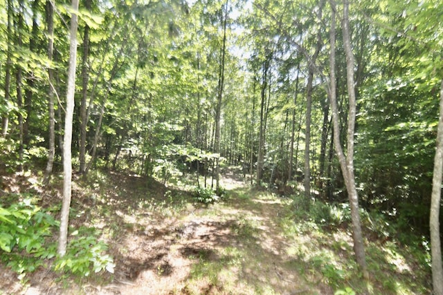 0 Allens Creek Rd, Hohenwald, TN 38462