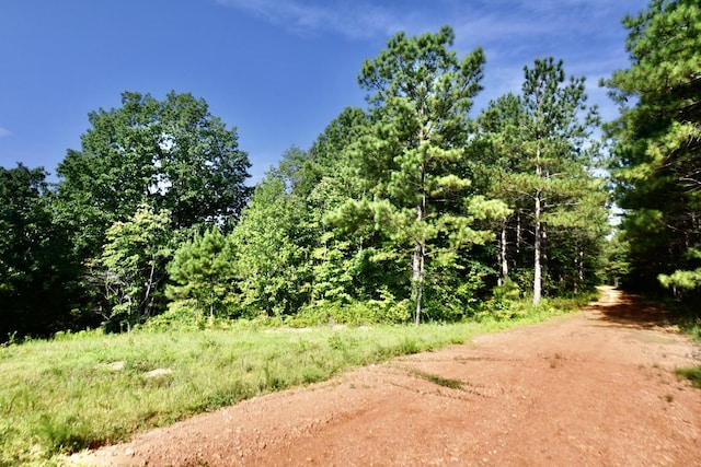 0 Allens Creek Rd, Hohenwald, TN 38462