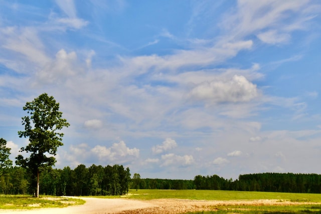 0 Allens Creek Rd, Hohenwald, TN 38462