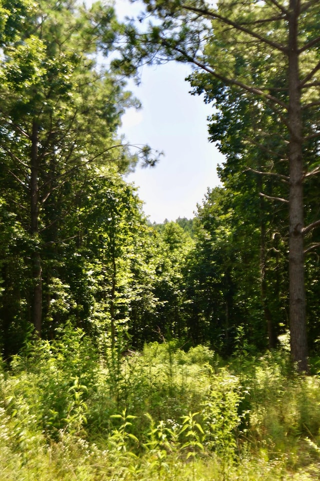 0 Allens Creek Rd, Hohenwald, TN 38462