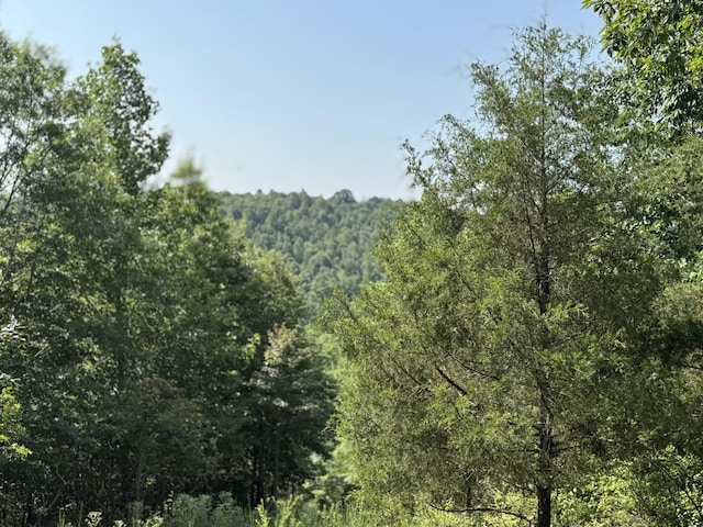 0 Allens Creek Rd, Hohenwald, TN 38462