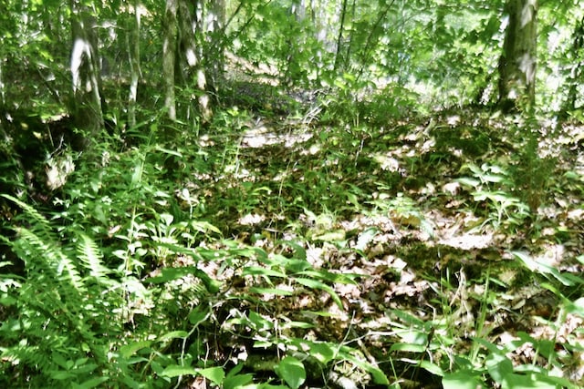 0 Allens Creek Rd, Hohenwald, TN 38462