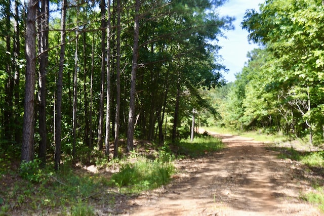 0 Allens Creek Rd, Hohenwald, TN 38462