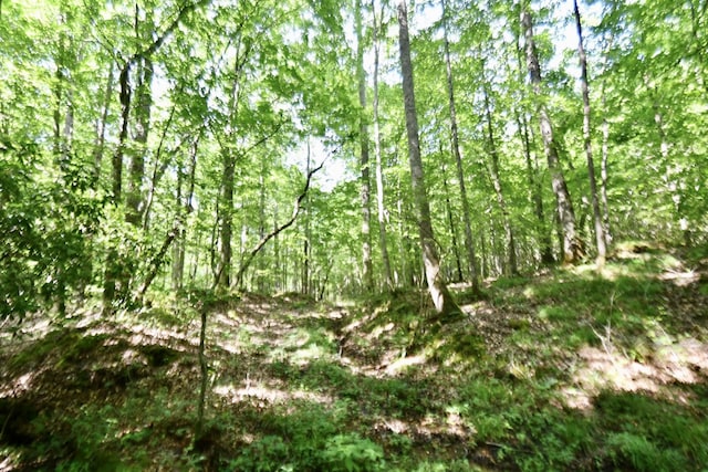 0 Allens Creek Rd, Hohenwald, TN 38462