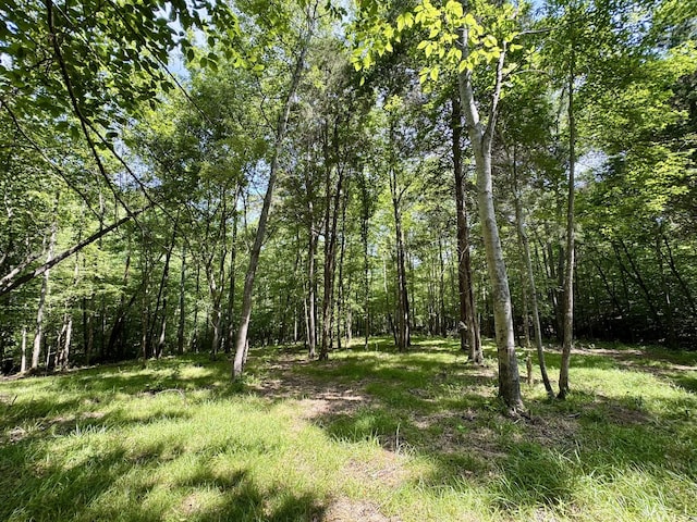 0 Allens Creek Rd, Hohenwald, TN 38462