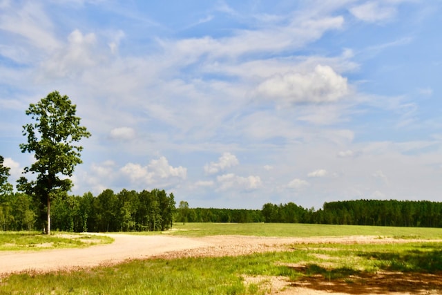 0 Allens Creek Rd, Hohenwald, TN 38462