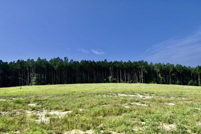 0 Allens Creek Rd, Hohenwald, TN 38462