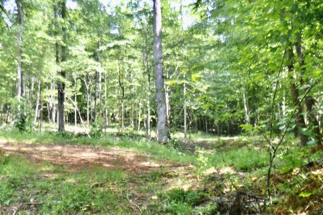 0 Allens Creek Rd, Hohenwald, TN 38462