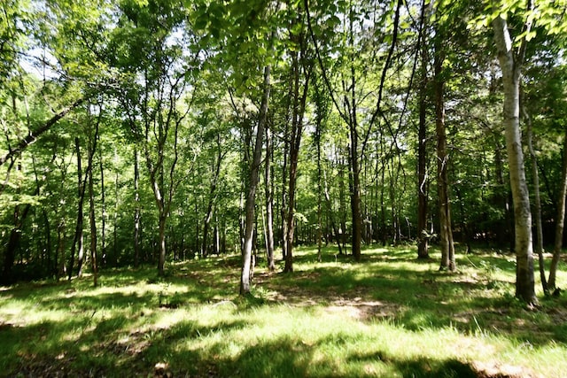 0 Allens Creek Rd, Hohenwald, TN 38462