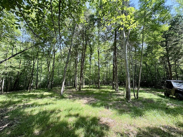 0 Allens Creek Rd, Hohenwald, TN 38462