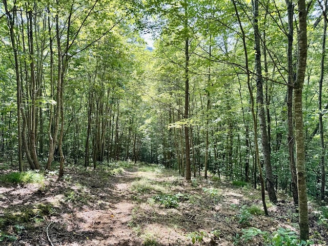 0 Allens Creek Rd, Hohenwald, TN 38462