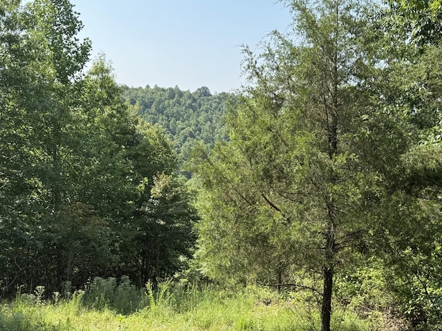 0 Allens Creek Rd, Hohenwald, TN 38462