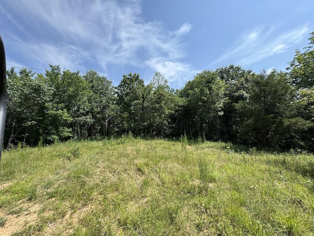 0 Allens Creek Rd, Hohenwald, TN 38462