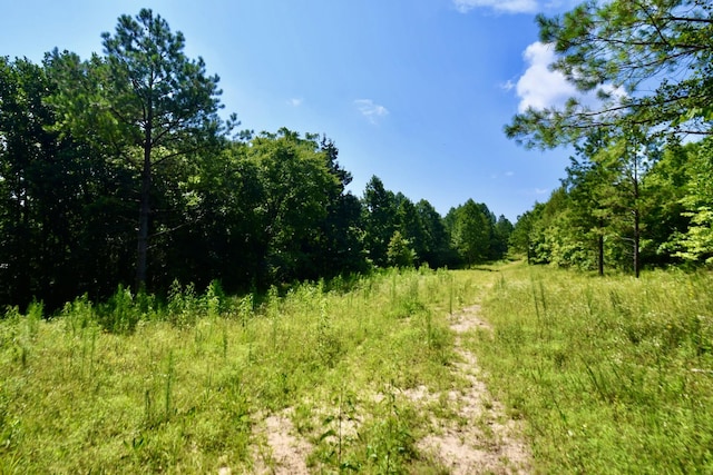 0 Allens Creek Rd, Hohenwald, TN 38462