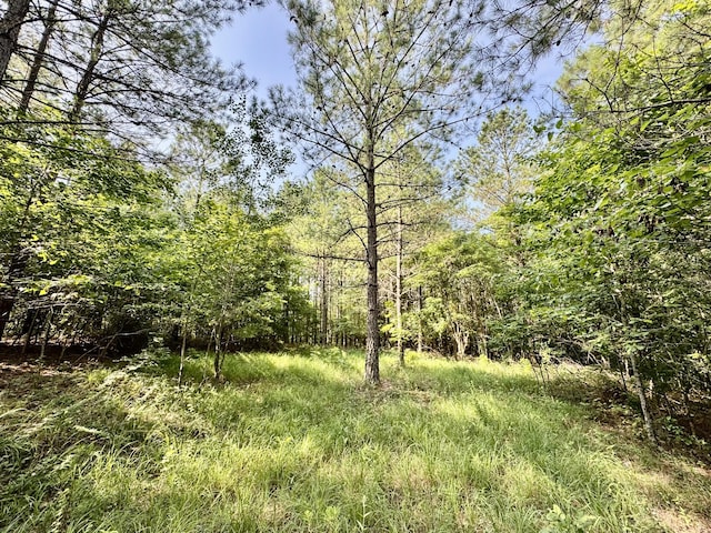 0 Allens Creek Rd, Hohenwald, TN 38462