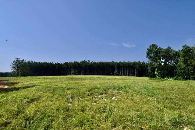 0 Allens Creek Rd, Hohenwald, TN 38462