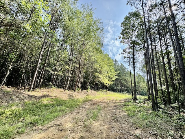 0 Allens Creek Rd, Hohenwald, TN 38462