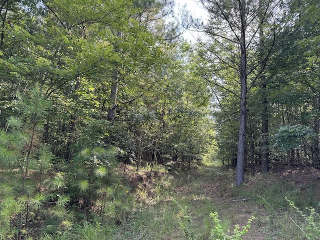 0 Allens Creek Rd, Hohenwald, TN 38462