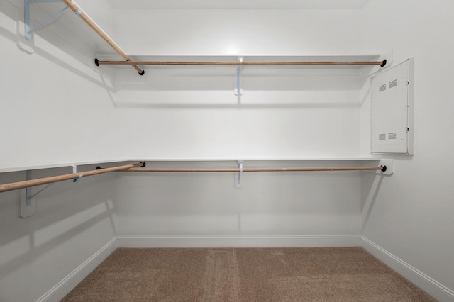 522 Rohan Dr, Murfreesboro, TN 37129 - spacious closet featuring carpet and electric panel