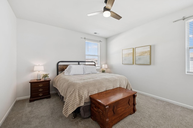 435 Lauren Ln, Chapel Hill, TN 37034 - photo 27