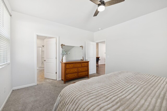 435 Lauren Ln, Chapel Hill, TN 37034 - photo 29