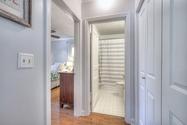 5628 Knob Rd, Nashville, TN 37209 - photo 25