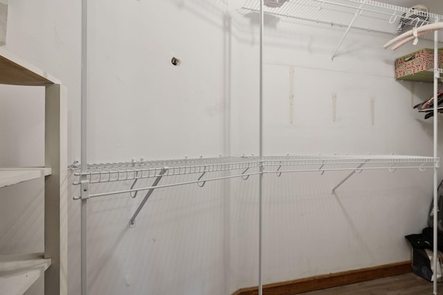 2274 Indian Mound Rd, Woodlawn, TN 37191 - spacious closet with wood finished floors