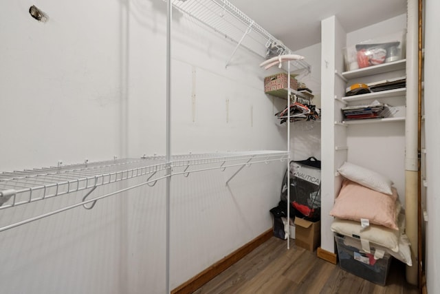 2274 Indian Mound Rd, Woodlawn, TN 37191 - walk in closet featuring wood finished floors