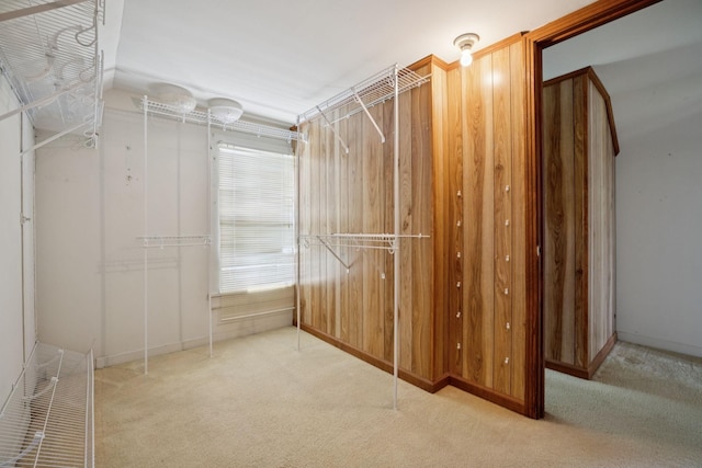 2274 Indian Mound Rd, Woodlawn, TN 37191 - spacious closet featuring carpet floors