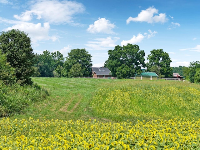 2274 Indian Mound Rd, Woodlawn, TN 37191 - view of yard featuring a view of rural / pastoral area