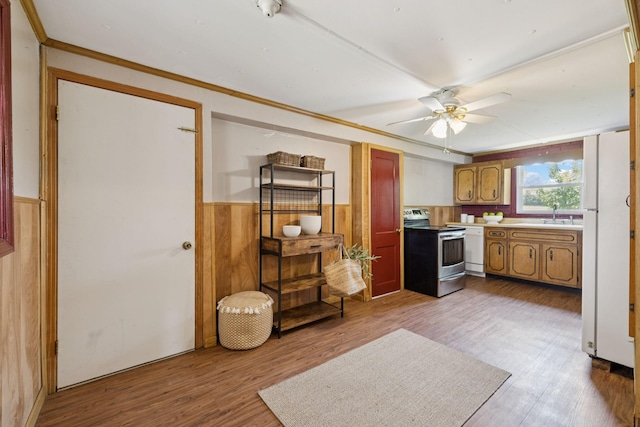 2274 Indian Mound Rd, Woodlawn, TN 37191 - kitchen with stainless steel electric range oven, wainscoting, wood finished floors, a ceiling fan, and ornamental molding