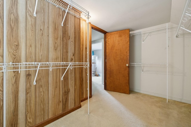 2274 Indian Mound Rd, Woodlawn, TN 37191 - walk in closet with carpet