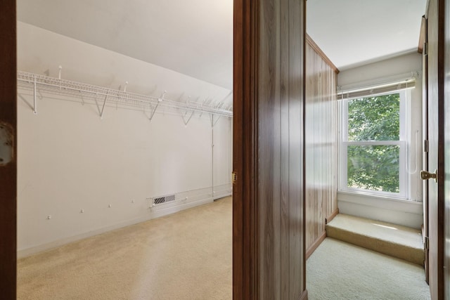 2274 Indian Mound Rd, Woodlawn, TN 37191 - spacious closet featuring light colored carpet