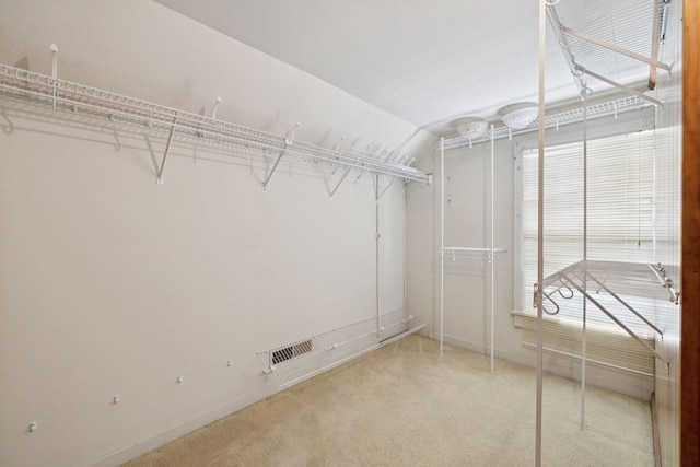 2274 Indian Mound Rd, Woodlawn, TN 37191 - spacious closet featuring carpet flooring