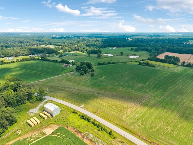2274 Indian Mound Rd, Woodlawn, TN 37191 - aerial view of sparsely populated area