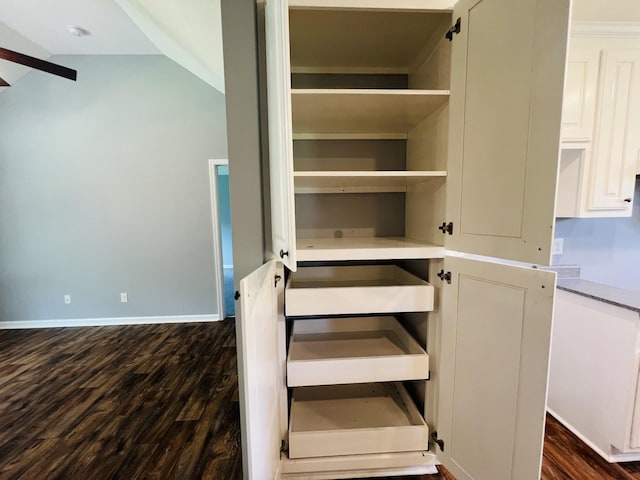 301 Union Hollow Rd, Petersburg, TN 37144 - view of closet