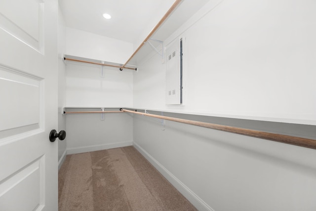 510 Rohan Dr, Murfreesboro, TN 37129 - walk in closet with light colored carpet