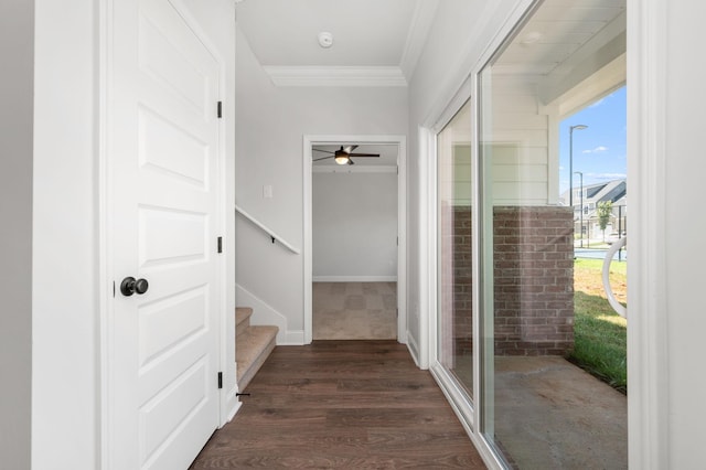 510 Rohan Dr, Murfreesboro, TN 37129 - hall with ornamental molding, dark wood-style floors, and stairs
