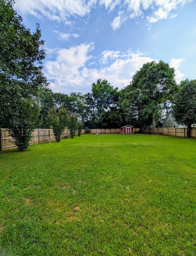 108 Braley Ct, Murfreesboro, TN 37129 - photo 26
