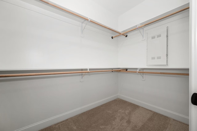 512 Rohan Dr, Murfreesboro, TN 37129 - spacious closet with carpet flooring