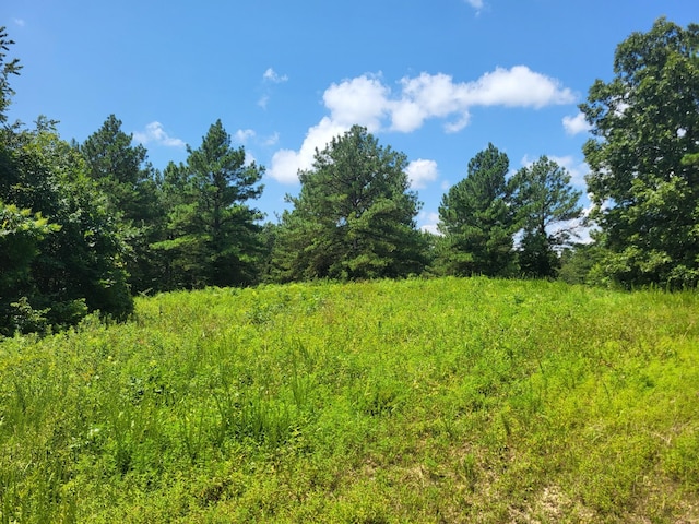 1 Strawberry Gables, Holladay, TN 38341