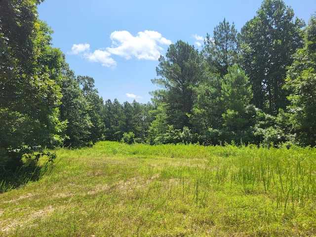 1 Strawberry Gables, Holladay, TN 38341