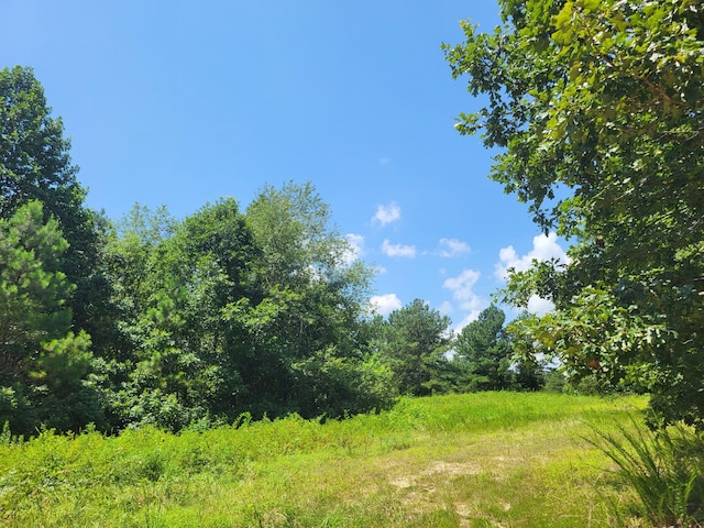 1 Strawberry Gables, Holladay, TN 38341