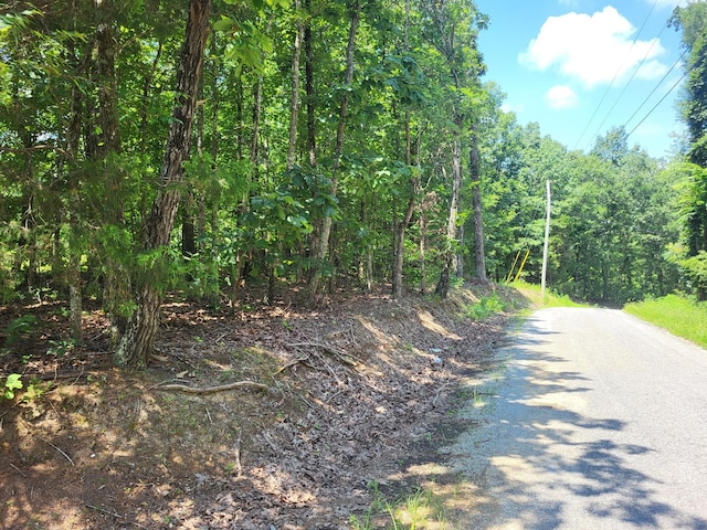 1 Strawberry Gables, Holladay, TN 38341